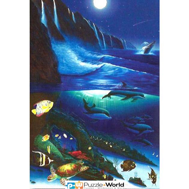 Moonlight Night (500 pcs)