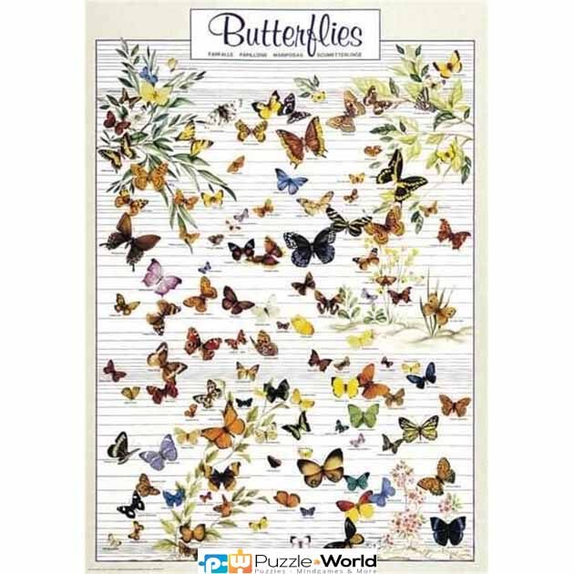 Butterflies