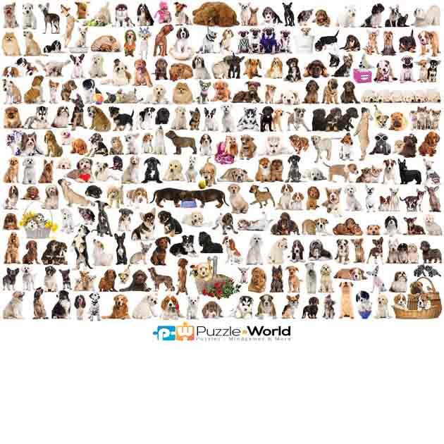 World Of Dogs
