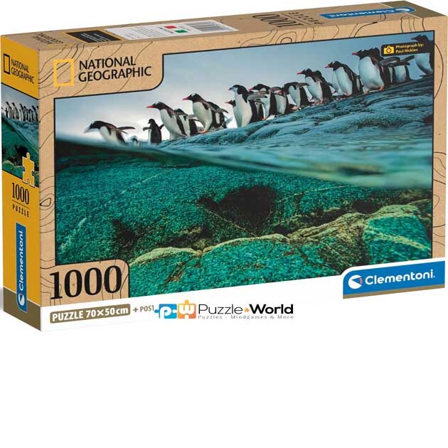 National Geographic: Gentoo Penguins