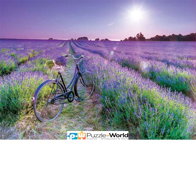 Bike in a Lavender Field
