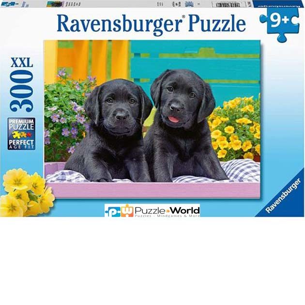 Black Labradors (300XXL pcs)