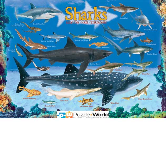 Sharks (100 pcs)