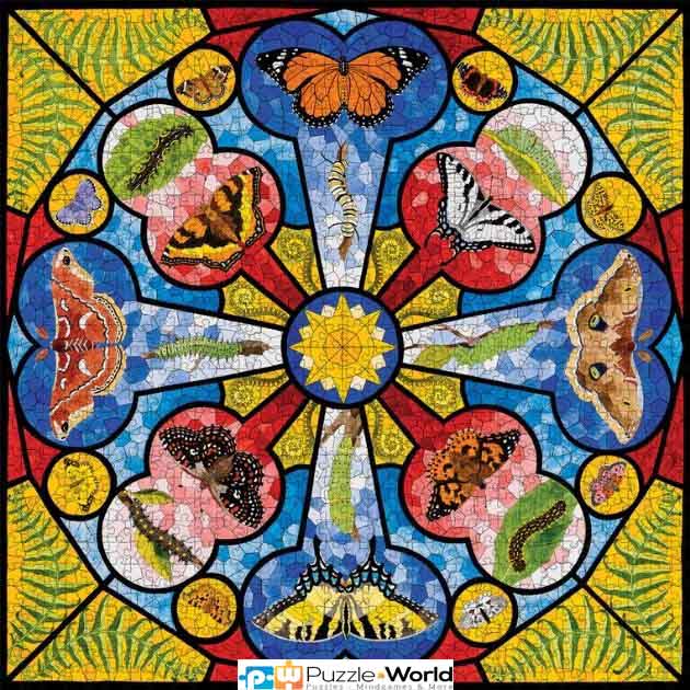 David Cohen: Butterfly Rose Window - Image 2