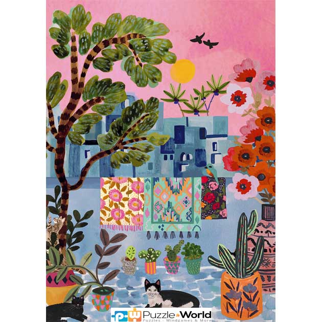 Chefchaouen Cats - Morocco