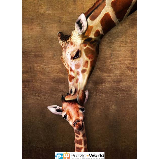 Mother and Baby Giraffe