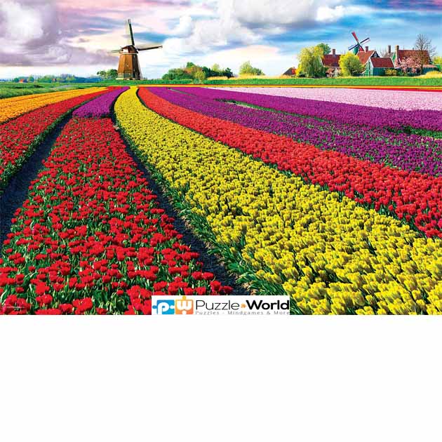 Tulip Field - Netherlands