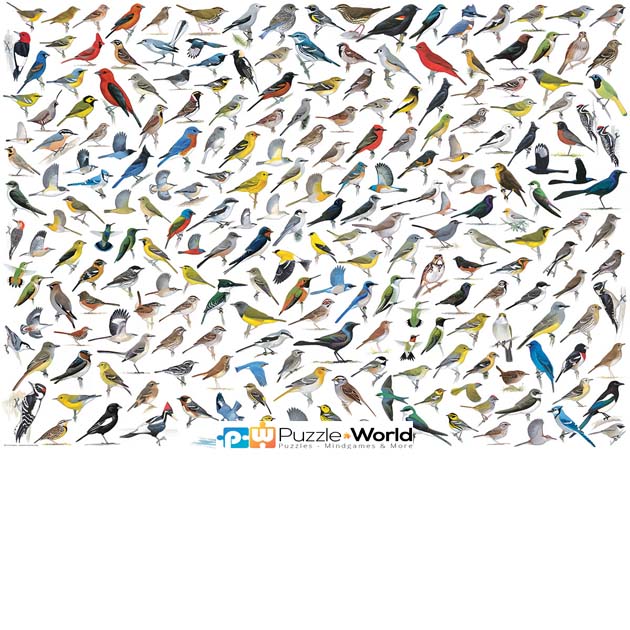The World of Birds (2000 pcs)