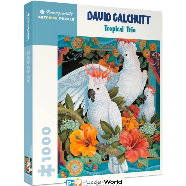 David Galchutt: Tropical Trio