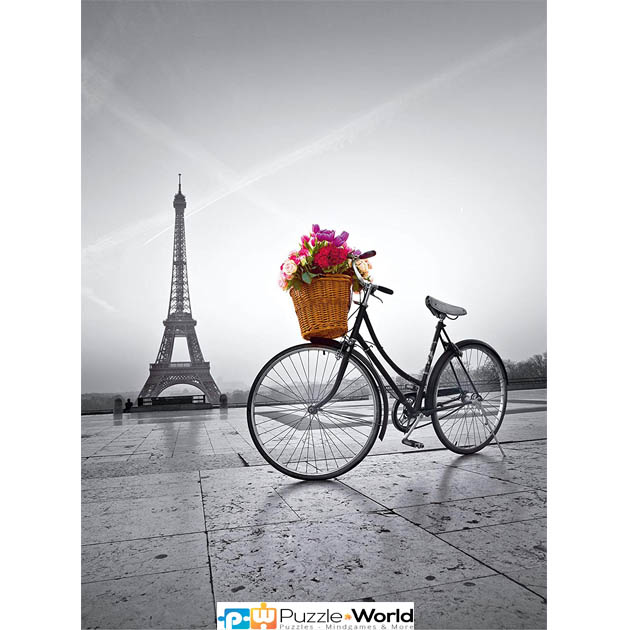 Romantic Promenade in Paris (500 pcs)