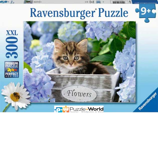 Kitten (300XXL pcs)