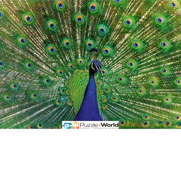 Peacock (500 pcs)