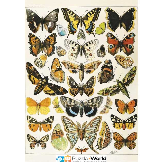 Adolphe Millot: Butterflies and Moths