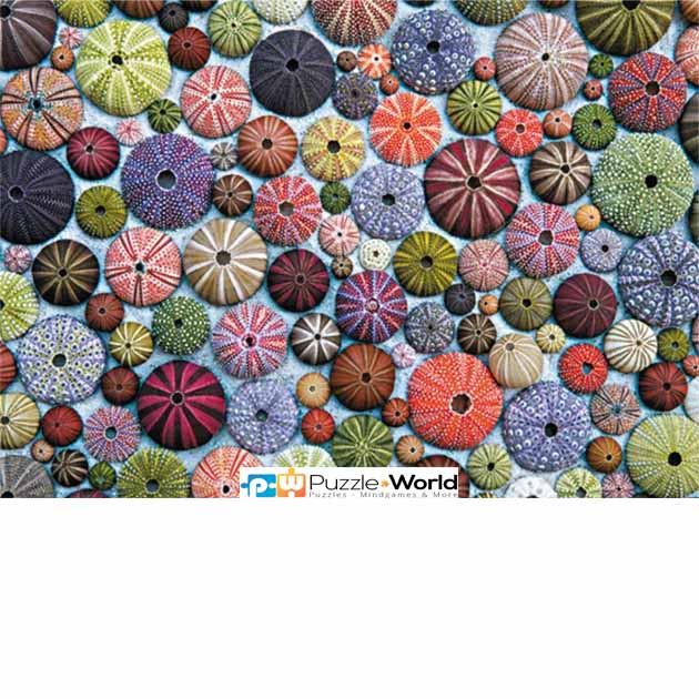 Sea Urchins