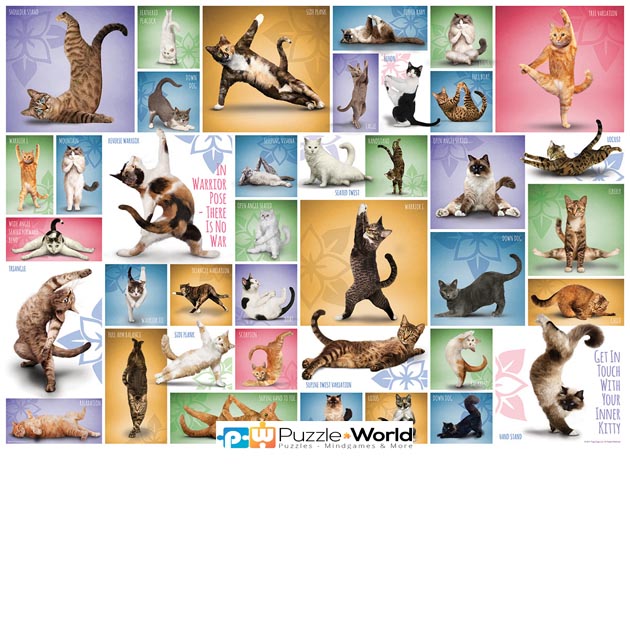 Yoga Cats