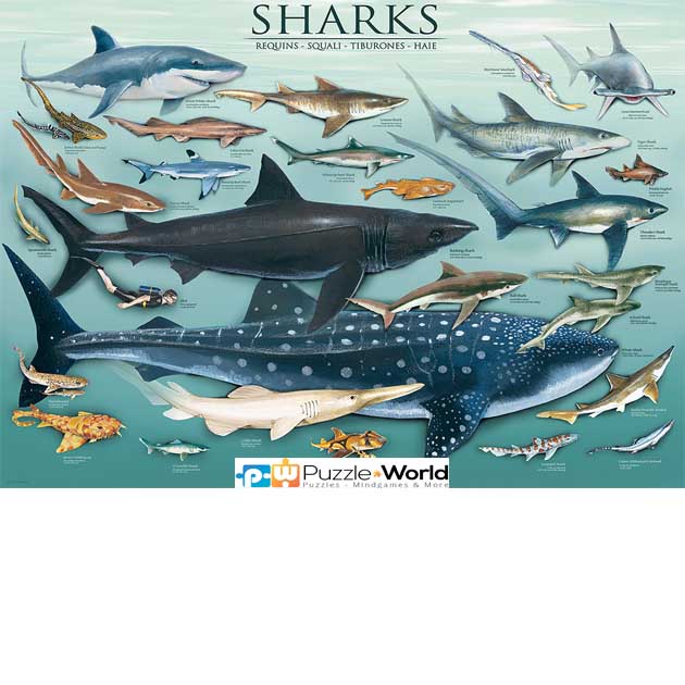 Sharks